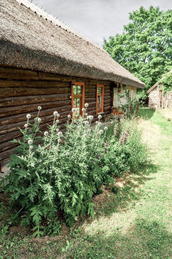 Matsi cottage Igaküla Esterno foto
